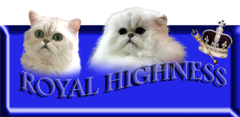 Royal Highness Cat�s